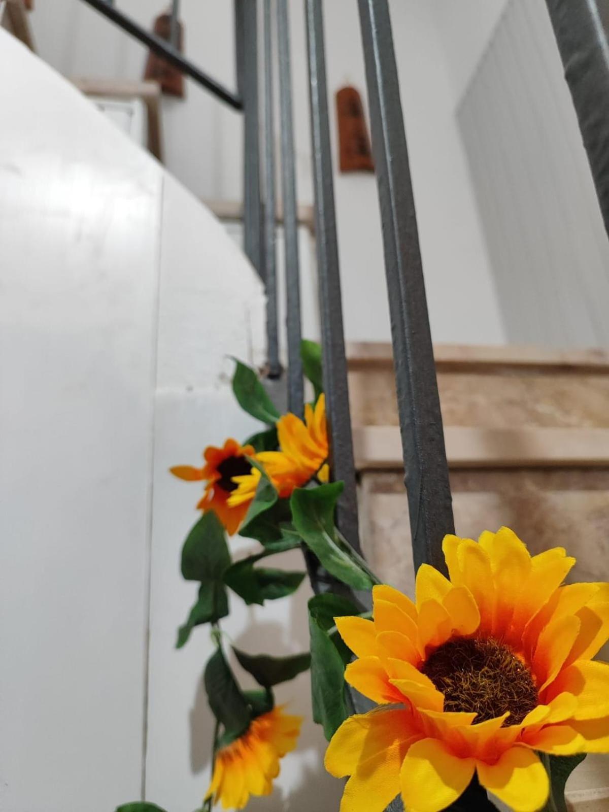 Casa Vacanze Con Giardino I Girasoli - Cin It 09006 - 9 C 2000 R4042- Sorso Exteriör bild